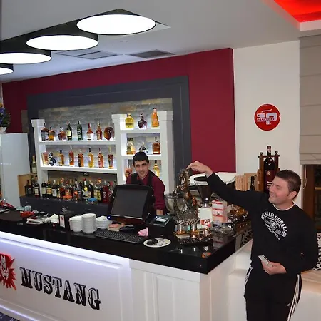 Mustang 4* Vasqarr