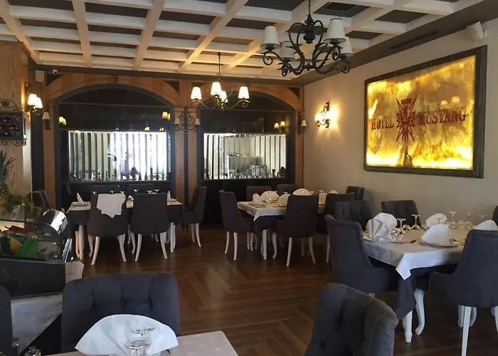 Mustang 4*